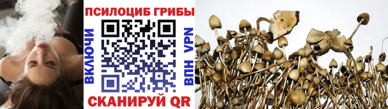 Галлюциногенные грибы Cubensis  Купить где  Онега 