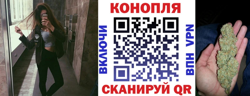 Бошки марихуана марихуана  Купить закладки  Онега 